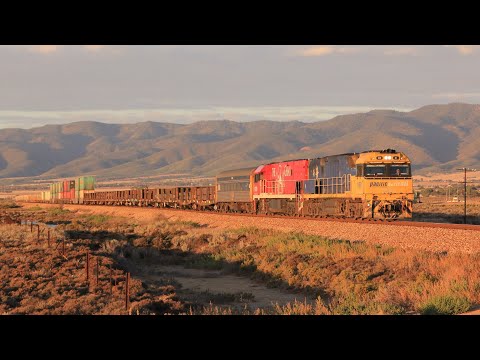Heavy, Mixed and Unique - Australian Pacific National Steel Trains