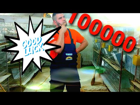 KOLIKO PARA ZARADJUJEM MESEČNO OD KUNIĆA