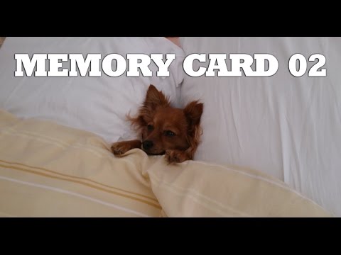 Memory card 02 - Mectoob