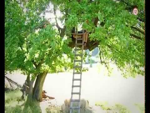 DIVOKÉ KONE (2) - od 17.8.2015 na JOJke