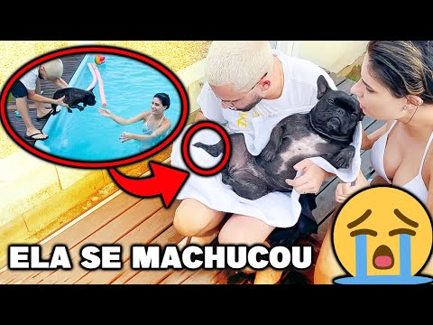 JOGUEI NOSSA CACHORRINHA NA PISCINA PELA PRIMEIRA VEZ