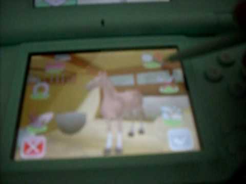 jeux nintendo ds mon cheval et moi