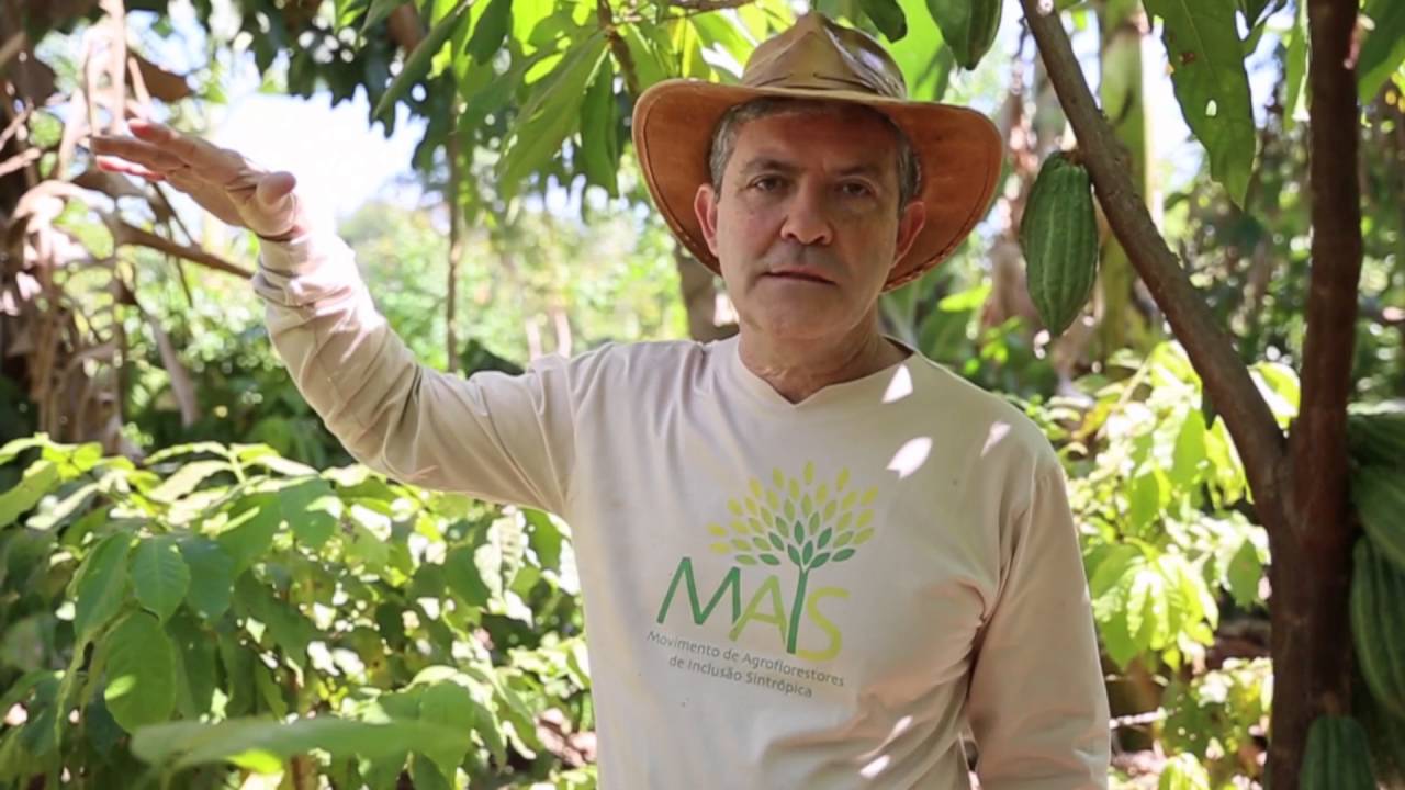 O que é Agricultura Sintrópica? Prof. Marcio Armando