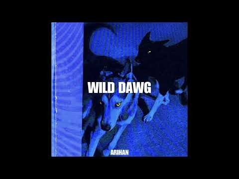 WILD DAWG | ARIHAN | SINGLE | 2025