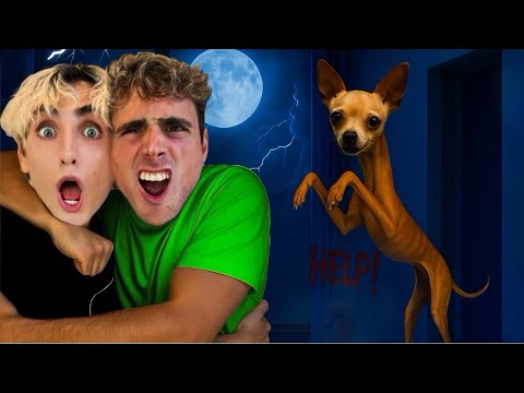 HOPE NEVER STOP GROWING…😱😭