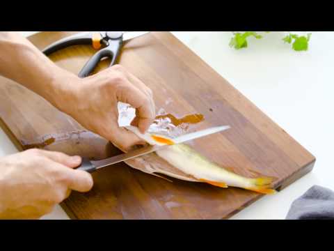 Fiskars FF žirklės žuviai (1003032) # video
