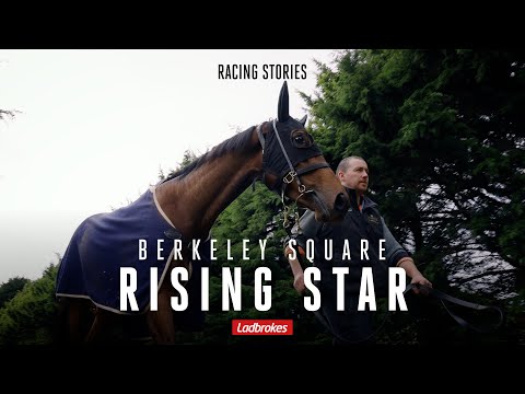 Berkeley Square Is Chasing A Group 1 Victory In The Caulfield Guineas For Trainer Dan O'Sullivan