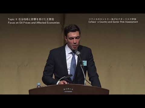 コファスのカントリーとセクターリスク評価