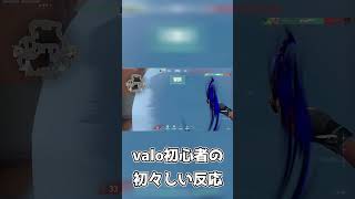 【valorant】モク抜き初心者の初々しい反応 #shorts