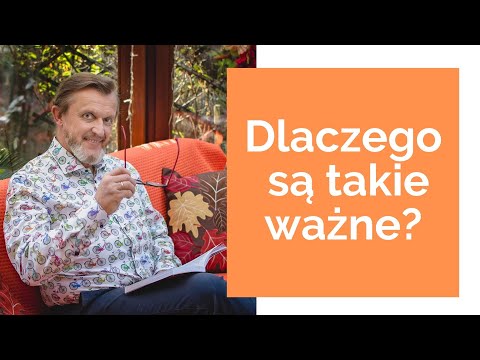 💪  13 nawyków ludzi sukcesu