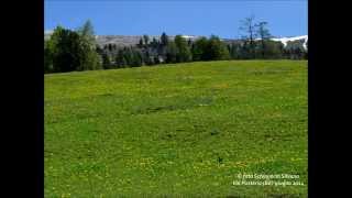 preview picture of video 'Lago di Braies-Prato Piazza-Lago di Dobbiaco-San Candido.Val Pusteria (BZ) Giugno 2014'