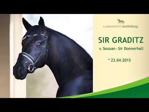 SIR GRADITZ v. Sezuan - Sir Donnerhall I