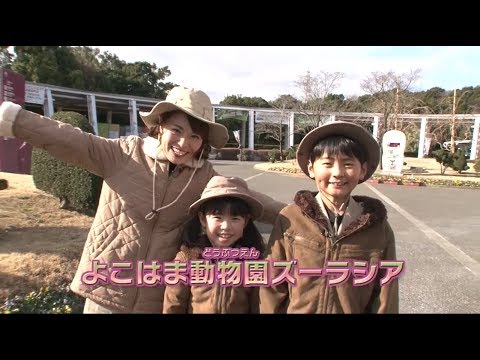 アニア探検隊！よこはま動物園ズーラシア