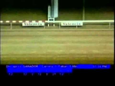 Resumen Jueves, 16 de Febrero de 2012 - Valencia