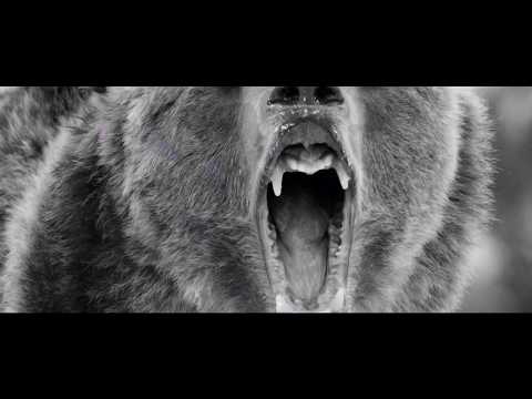 Zatox - Animals (Official VideoClip)