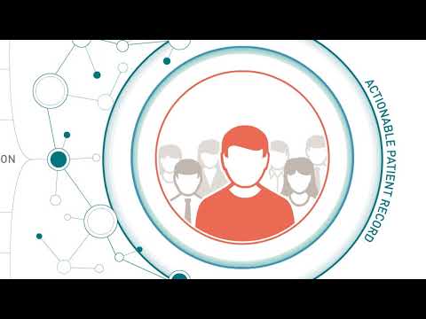 Alpha Explainer Videos #242