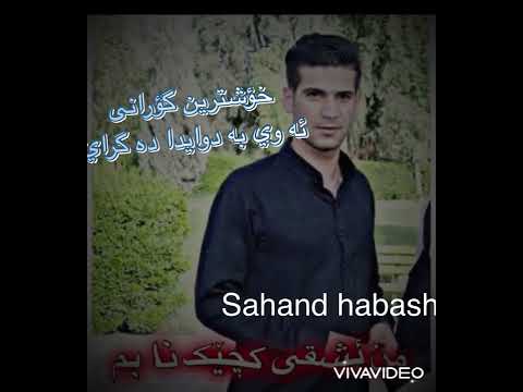 Sahand habashi من ئاشقى كجيك نابم خؤي بؤم برازينته وه 😱😱