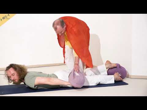 Diagonaler Vogel - Yoga Asanalexikon