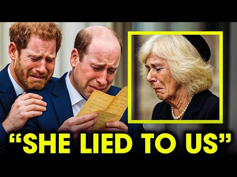 Princess Diana’s Lost Letter to Prince William Finally Revealed