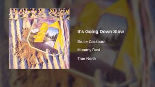 Bruce Cockburn - It&#39;s Going Down Slow