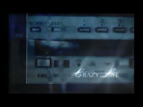 Crazy Life (2005)