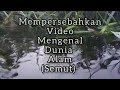 Video About Ants Music Video Encouraging Ants Unique Ants Video