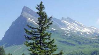 All These Years You've Served So Well