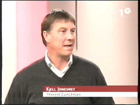 Assyriska-Djurgårdens IF Allsvenskan 2005 + Jonevret - SVT