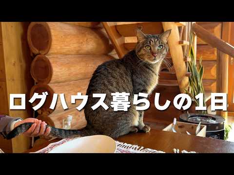 youtube-動物記事1970/01/01 09:00:00