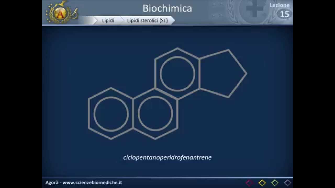 Biochimica strutturale - Lipidi