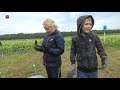 Eten per meter tijdens Lelystadse Oogstdag