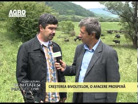 Realitati si Perspective 16 06 2013