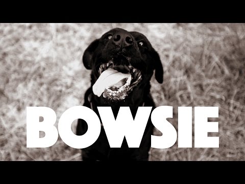 Shortstraw - Bowsie (Official Video)