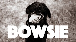 Shortstraw - Bowsie (Official Video)