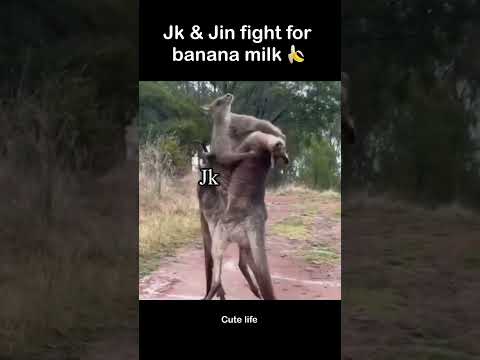Jin e Jk brigam por leite de banana 🍌😈 #cutelife #shorts