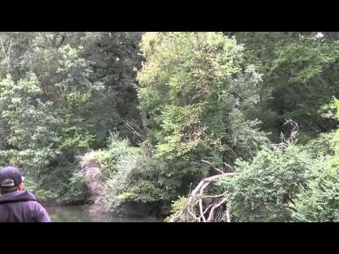 The Disc Golf Guy - Vlog #266 - 2014 Ledgestone Insurance Highlight Reel B