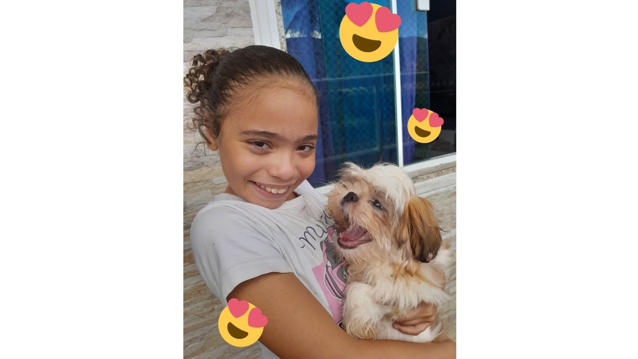 Ganhei uma Shih tzu  e voltei galerinha.