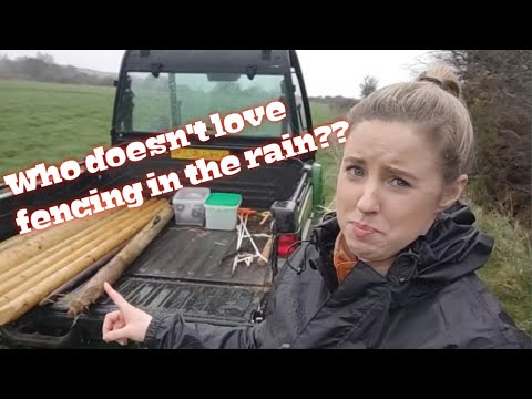 SOME FENCING & MOVING THE YOUNG STOCK