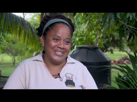 What's Belizean Food Without Coconut Oil?