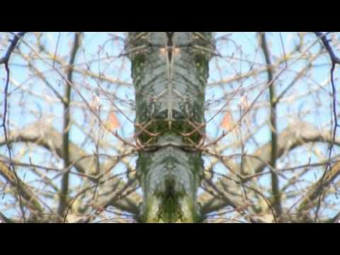 Misty Bywater - Joyful Moment #2