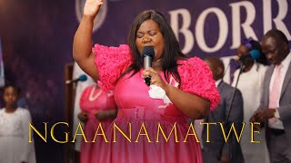 Download lagu Ngaanamatwe - ZAOGA FIF Borrowdale District Praise and Worship ft Elder Mrs Ushe mp3 Download lagu Ngaanamatwe - ZAOGA FIF Borrowdale District Praise and Worship ft Elder Mrs Ushe mp3