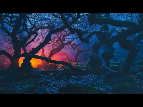 Deep Ambient Techno Mix #14: Rebirth