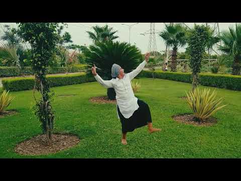 Dhamaal || Bhangra cover on Mele Vich Vajda Dhol || Saheeb Puri || Tigerstyle || Labh Jhanjua