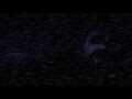 All FNAF2 Cutscenes Nights 1 4 Freddy S POV