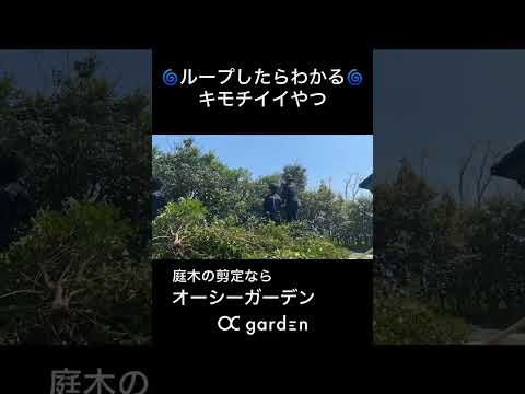 ウツギを生垣、花壇、鉢に剪定するにはどうすればよいですか？どの程度まで削減する必要がありますか?またその理由は何ですか?  庭園
