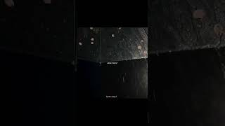 Tera Hua – Atif Aslam | Loveyatri | Lyrics Video | lyrics_edit_song