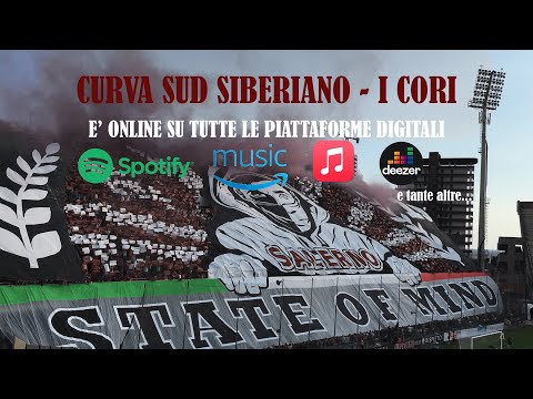 Il boato della Curva Sud al gol di Coda in Salernitana-Avellino.