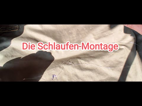 Ich erkläre euch die Schlaufen-Montage zum Feederfischen