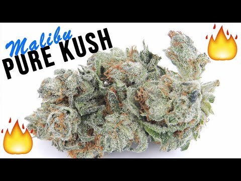 download lagu mp3 mp4 Pk Kush, download lagu Pk Kush gratis, unduh video klip Pk Kush