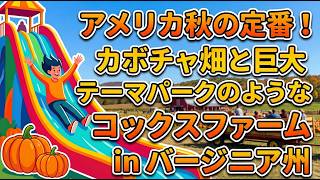 アメリカ秋の定番!カボチャ畑と巨大テーマパークのようなコックスファーム #coxfarms #バージニア州